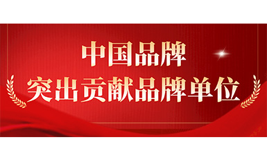 凯发国际天生赢家,凯发K8国际官网入口,k8凯发天生赢家一触即发人生电梯获评“突出贡献品牌单位”，树凯发国际天生赢家,凯发K8国际官网入口,k8凯发天生赢家一触即发人生国品牌标杆力量